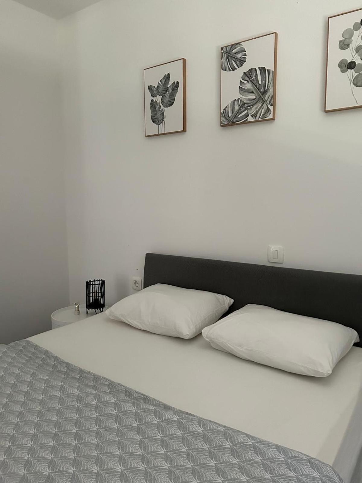 Apartment Aurora Banovci